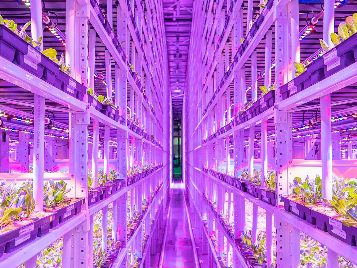 Agriculture